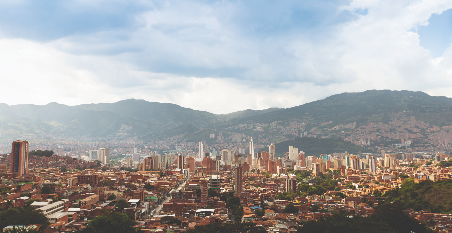 Savia servicios poda y mantenimieento de zonas verdes compromiso natural